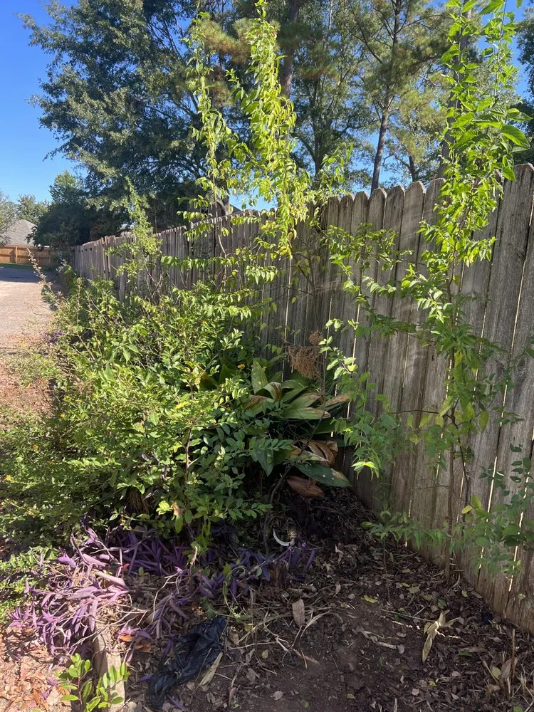 Custom landscape design in Prattville, AL - Wolf Brothers Land Management