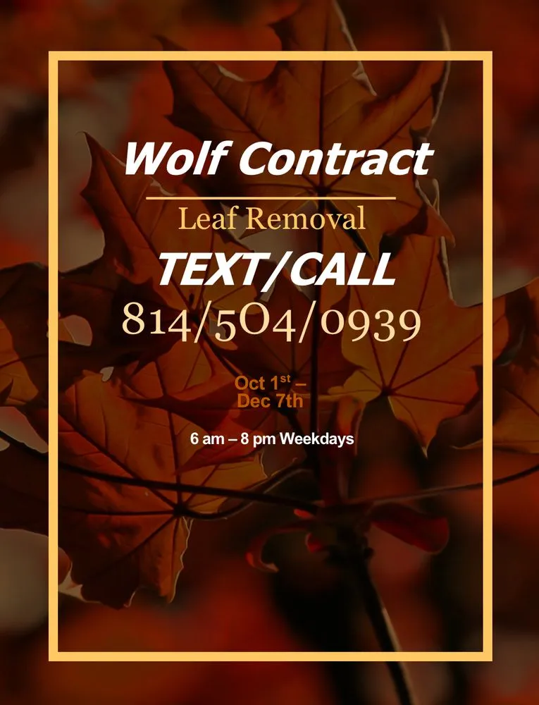 Affordable lawn care service in Erie, PA - Wolf Contract