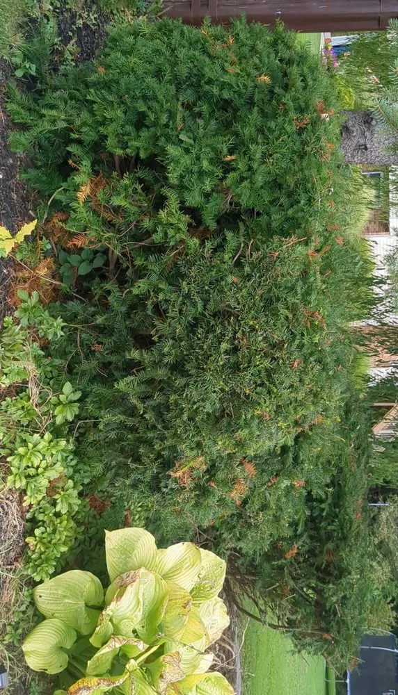 Top-rated landscape installation near you across Erie, PA - Wolf Contract