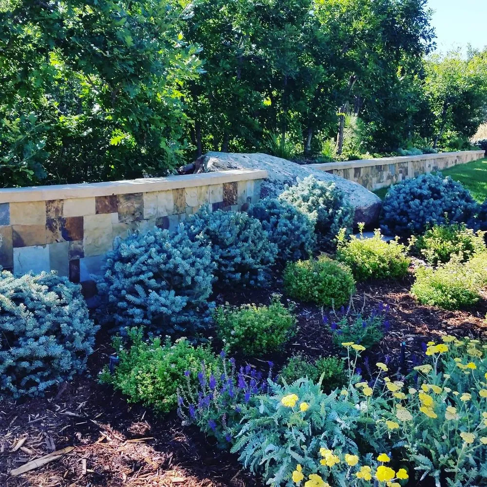 Custom yard cleanup service in Elizabeth, CO by Wolf Creek Landscapes