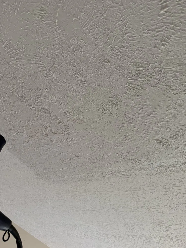 Affordable yard cleanup service experts serving Columbus, OH - Wolf Landscape & Construction