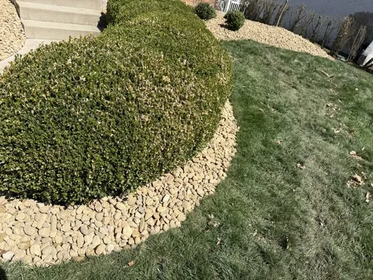 Wolf Landscape & Construction Logo