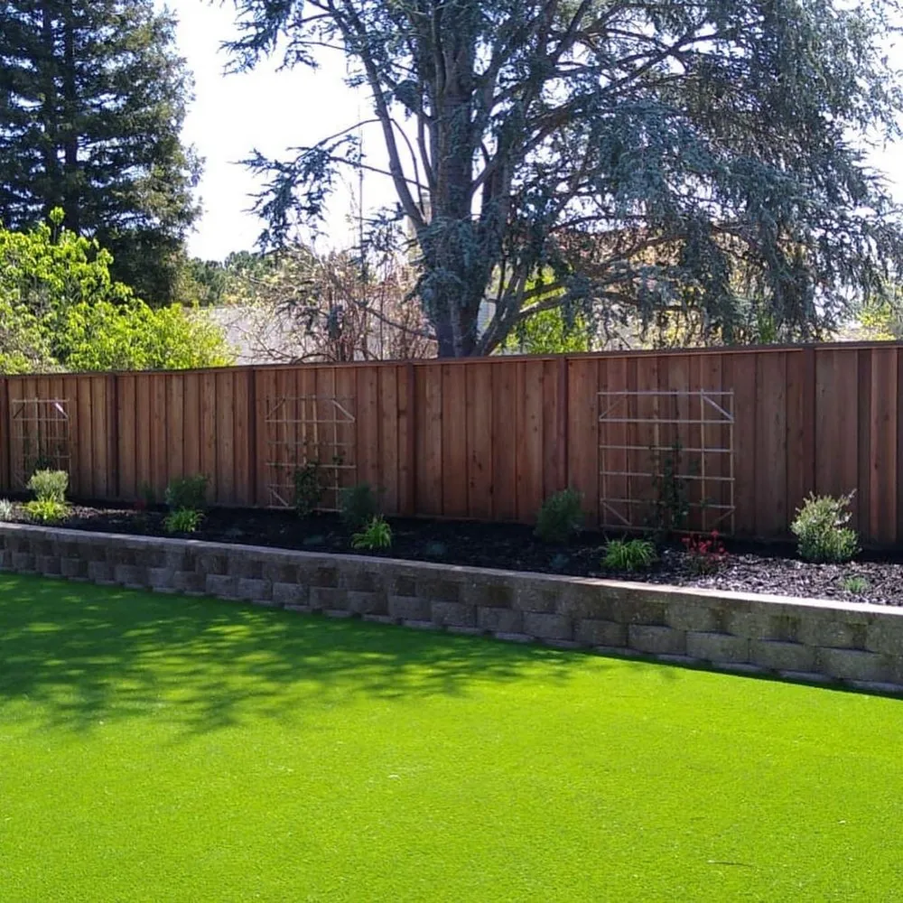 Expert yard cleanup service experts serving Cupertino, CA - Wolf Landscape Construction