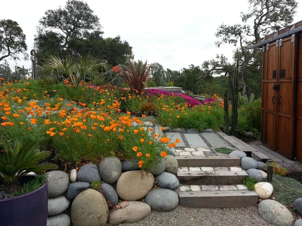 Reliable lawn mowing service in Fairfax, CA - Wolf Landscapes