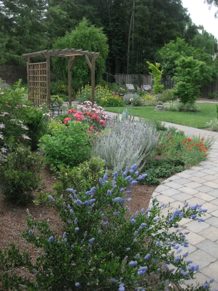 Professional yard maintenance with custom design across Fairfax, CA - Wolf Landscapes