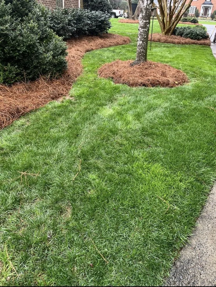 Professional outdoor landscaping in Charlotte, NC - Wolf Landscaping