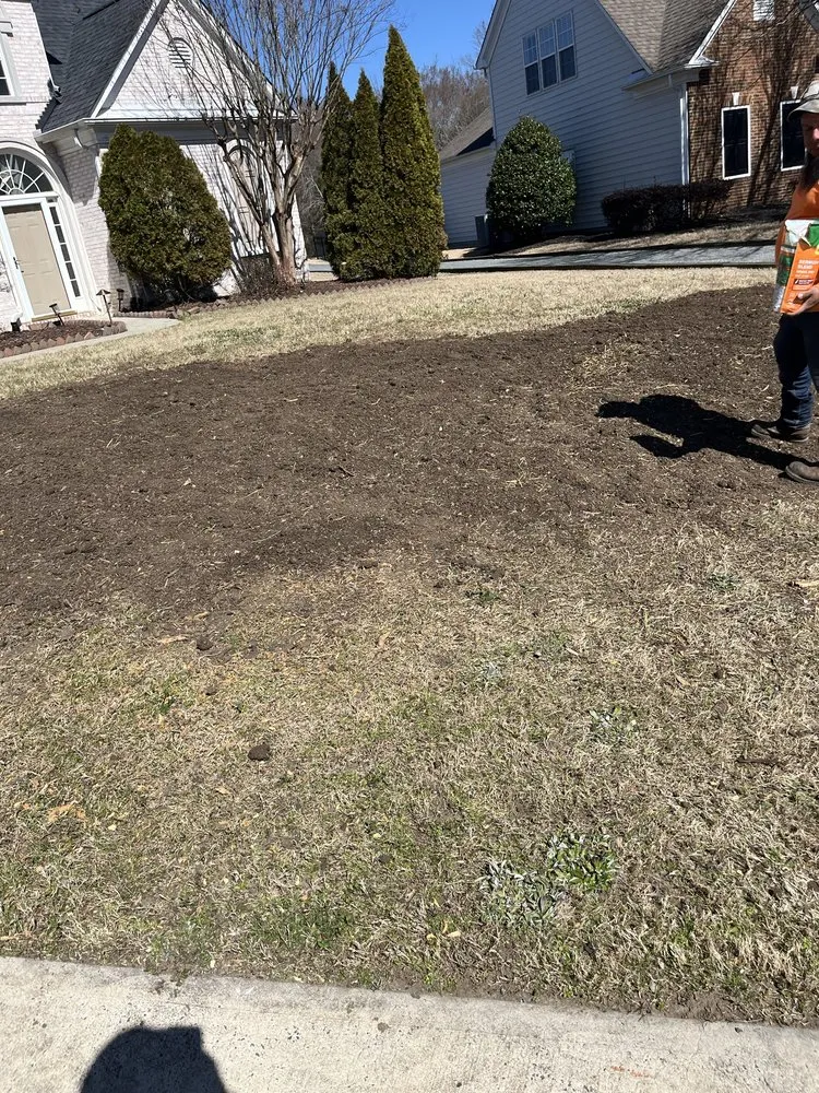 Custom lawn care service with custom design across Charlotte, NC - Wolf Landscaping