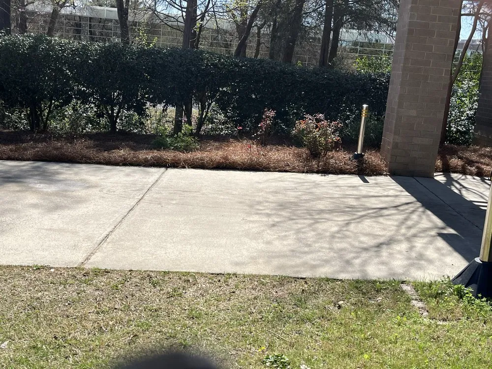 Affordable lawn care service for outdoor upgrades in Charlotte, NC by Wolf Landscaping