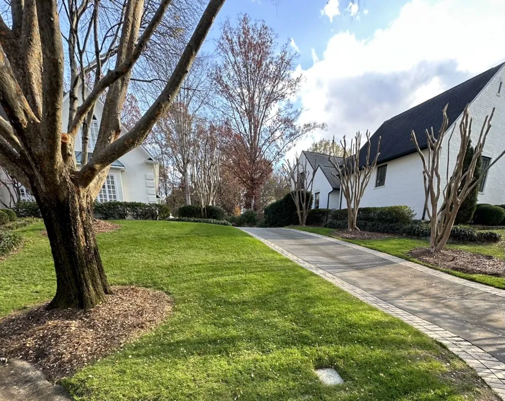 Custom residential landscaping in Charlotte, NC by Wolf Landscaping