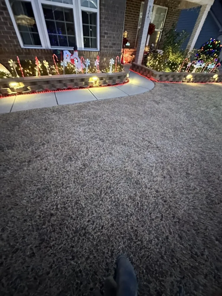 Reliable landscape installation in Charlotte, NC by Wolf Landscaping