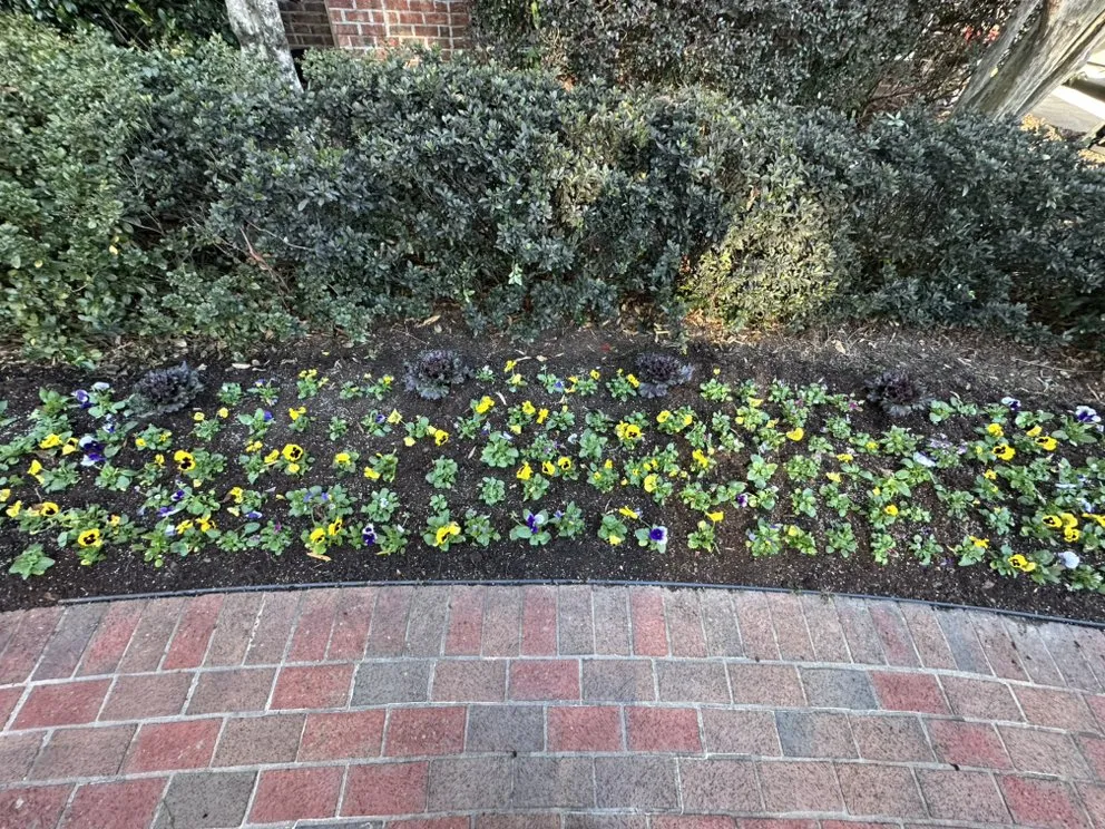 Local lawn mowing service in Charlotte, NC by Wolf Landscaping