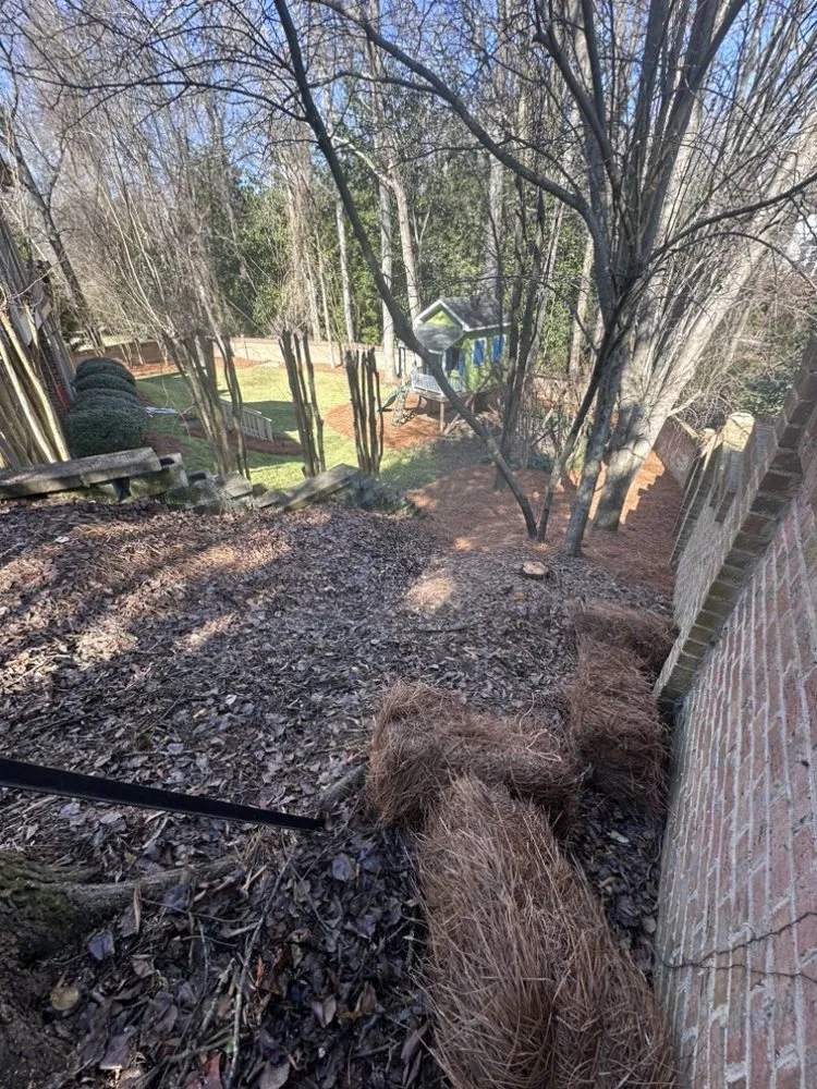 Professional yard maintenance for residential properties across Charlotte, NC - Wolf Landscaping