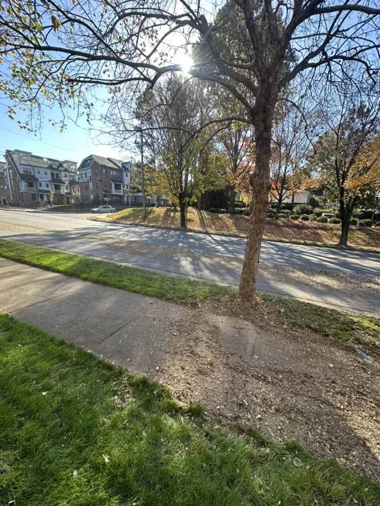 Trusted residential landscaping for homes in Charlotte, NC by Wolf Landscaping