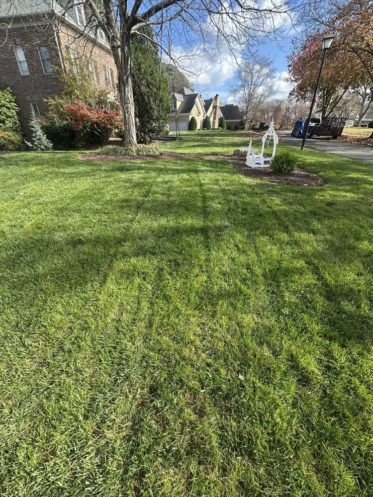 Local landscape design experts serving Charlotte, NC - Wolf Landscaping