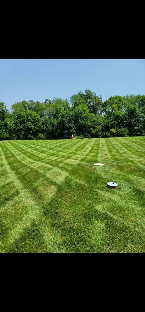 Professional lawn care service in Liberty Township, OH by Wolf Lawn and Landscaping