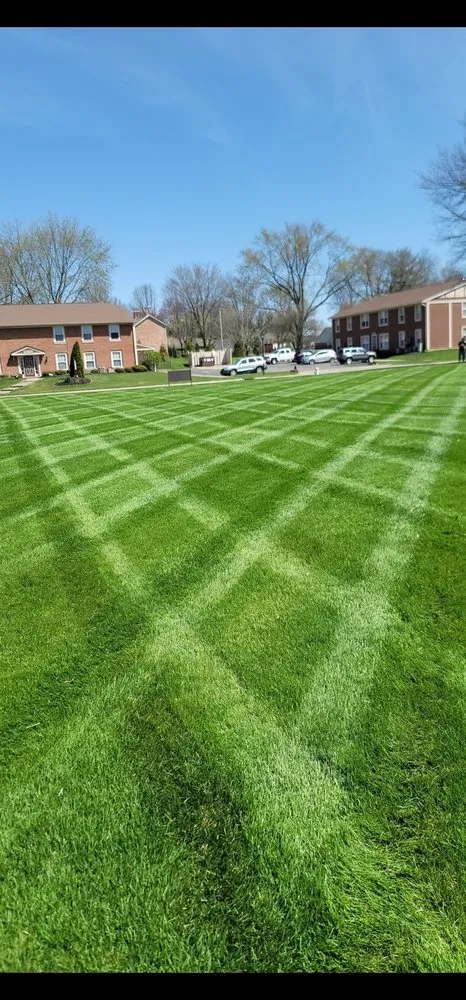 Trusted landscaping services in Liberty Township, OH - Wolf Lawn and Landscaping