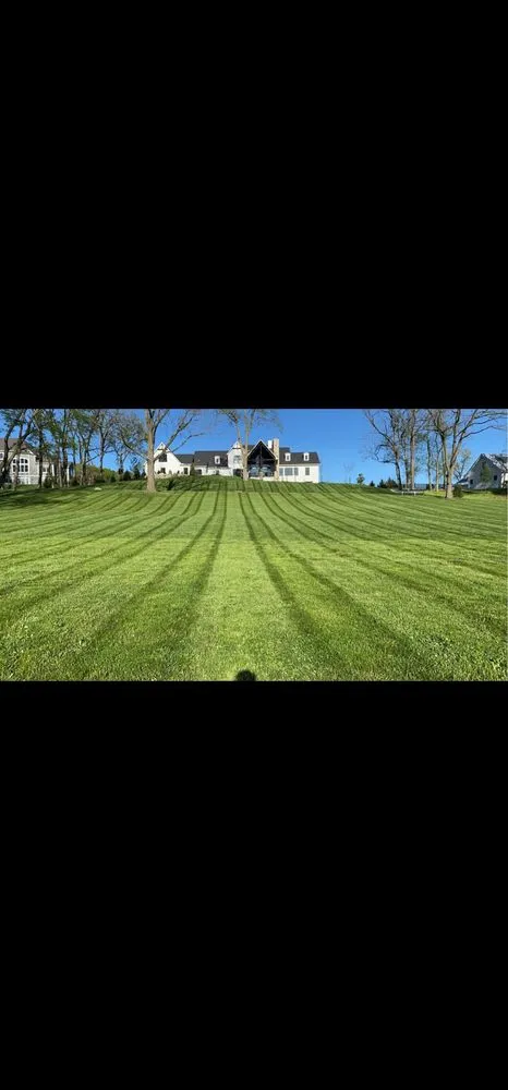 Expert residential landscaping near you in Liberty Township, OH by Wolf Lawn and Landscaping