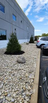 Wolf Lawn and Landscaping Logo