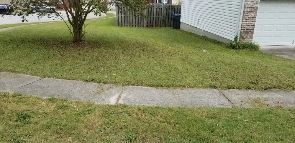 Reliable yard maintenance experts serving Augusta, GA - Wolf Lawncare