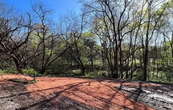 Reliable lawn mowing service experts serving Longview, TX - Wolf Pack Land Management