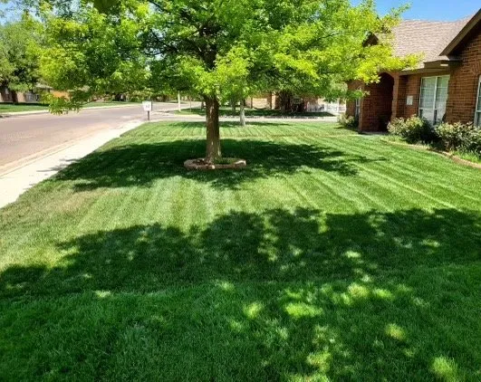 Local garden landscaping experts serving Longview, TX - Wolf Pack Land Management