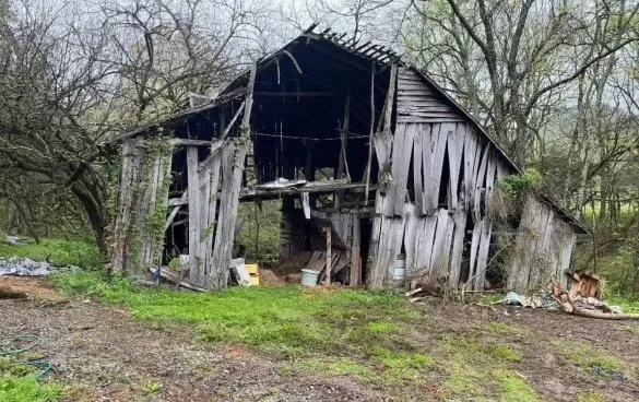 Custom garden landscaping for outdoor upgrades across Longview, TX - Wolf Pack Land Management