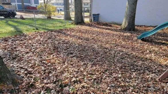 Top-rated lawn care service for residential properties in Longview, TX by Wolf Pack Land Management