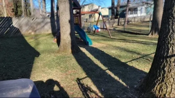 Custom lawn care service in Longview, TX - Wolf Pack Land Management