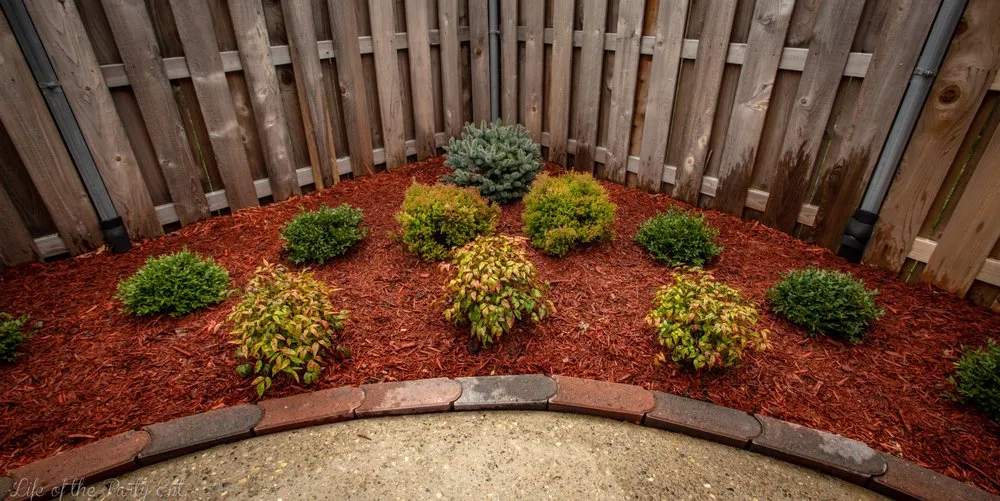 Affordable yard maintenance experts serving Louisville, KY - Wolf Pack Landscaping