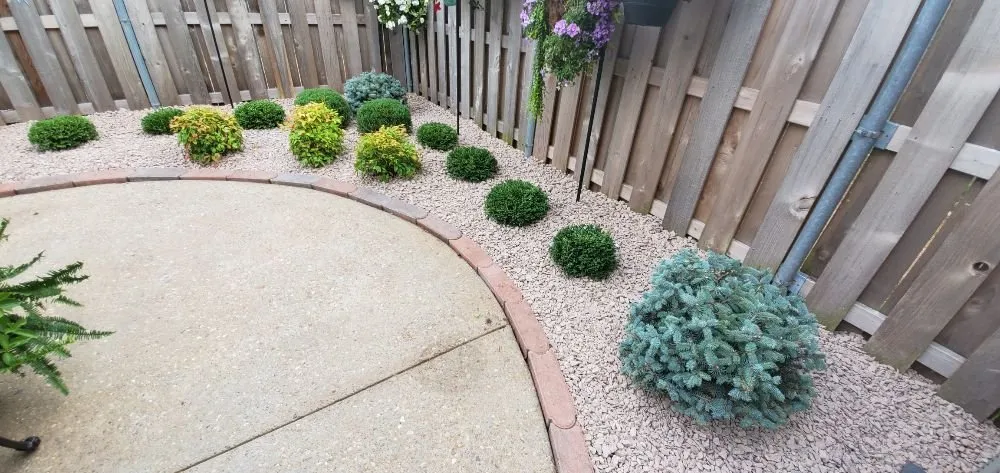 Professional yard maintenance in Louisville, KY by Wolf Pack Landscaping