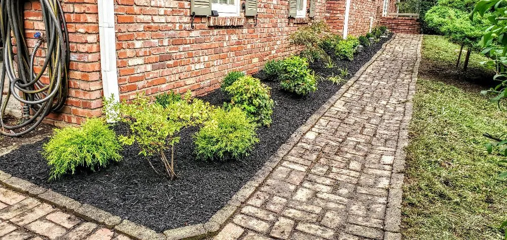 Reliable yard maintenance in Louisville, KY - Wolf Pack Landscaping