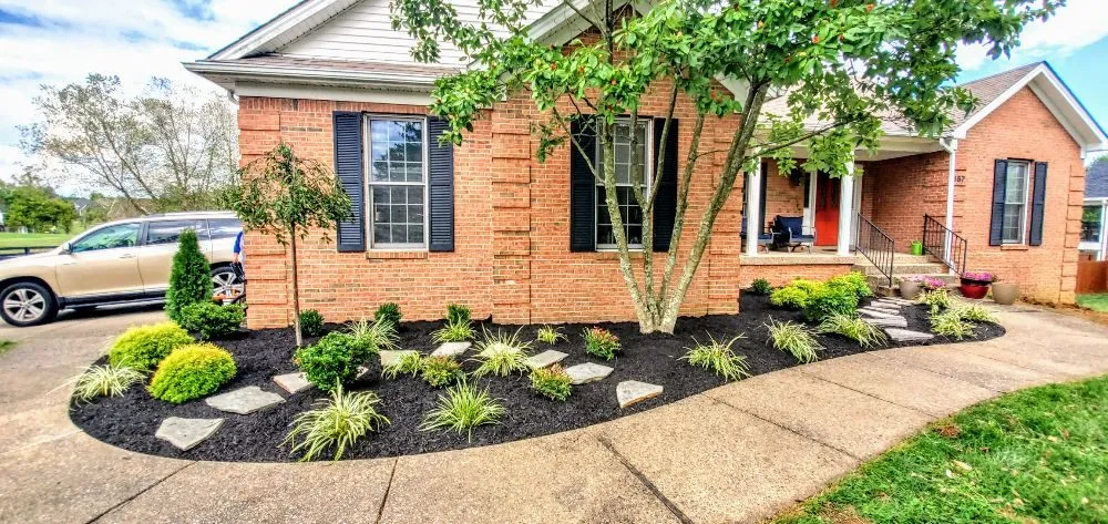 Top-rated lawn care service experts serving Louisville, KY - Wolf Pack Landscaping