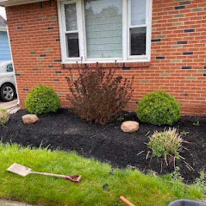 Trusted landscape design in East Aurora, NY by Wolf Property Services