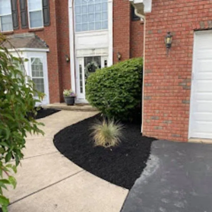 Professional landscaping services for homes across East Aurora, NY - Wolf Property Services