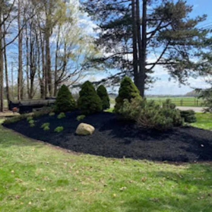Local yard maintenance experts serving East Aurora, NY - Wolf Property Services