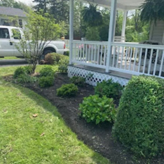 Affordable yard maintenance for beautiful yards in East Aurora, NY by Wolf Property Services