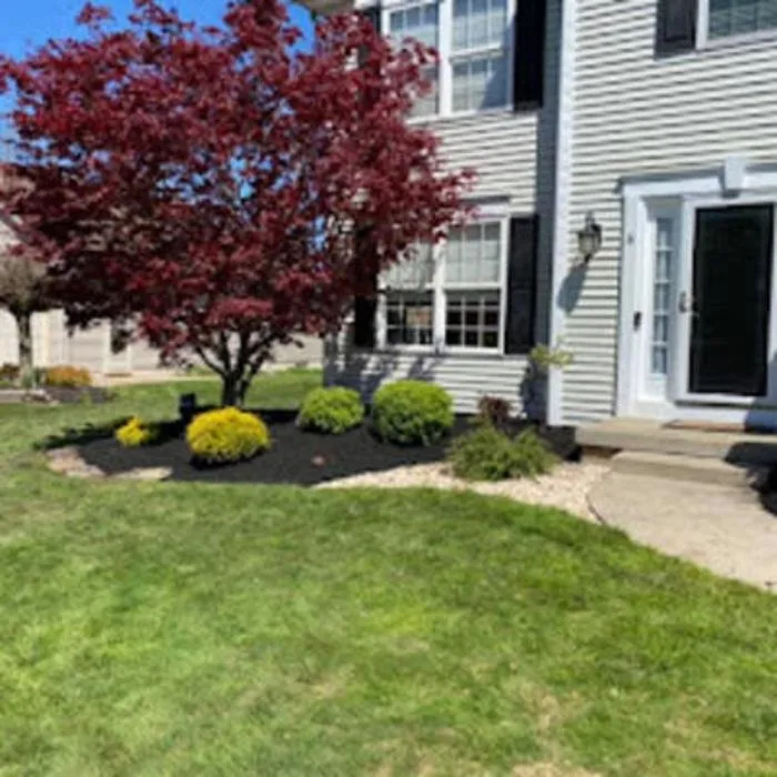 Local landscape design for residential properties across East Aurora, NY - Wolf Property Services