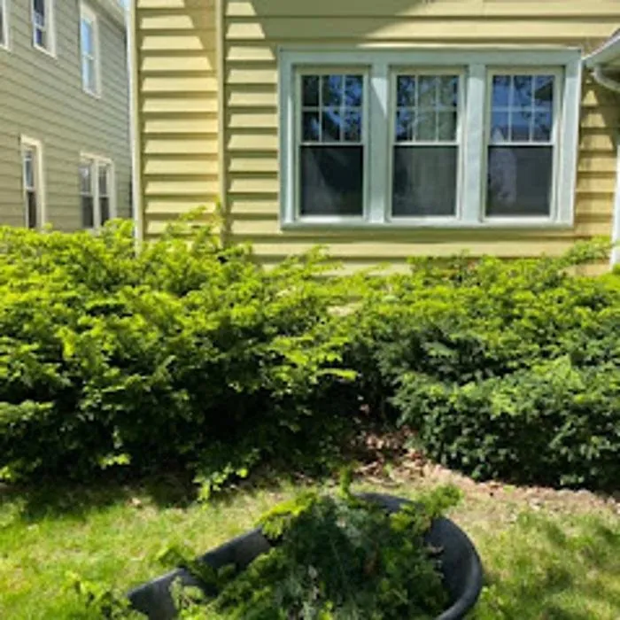 Reliable yard cleanup service experts serving East Aurora, NY - Wolf Property Services