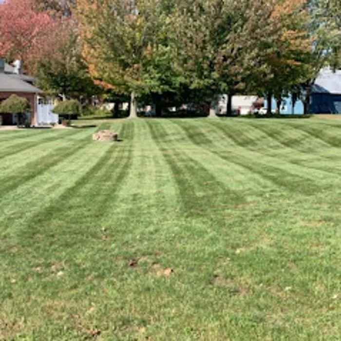 Top-rated lawn care service for outdoor upgrades across East Aurora, NY - Wolf Property Services