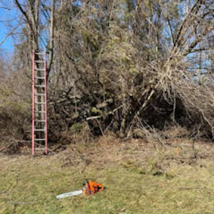 Custom landscaping services in East Aurora, NY - Wolf Property Services