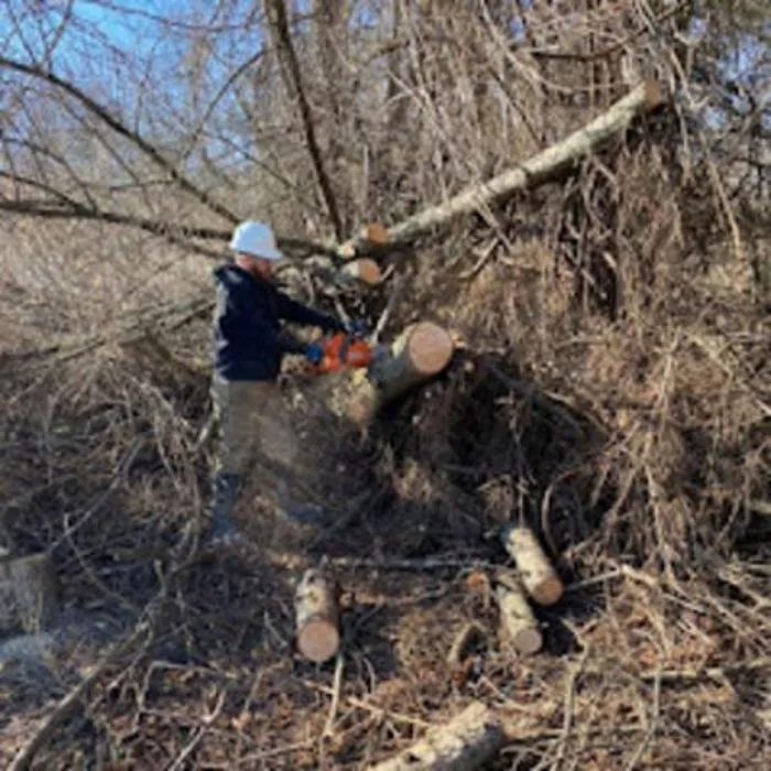 Top-rated landscape installation experts serving East Aurora, NY - Wolf Property Services