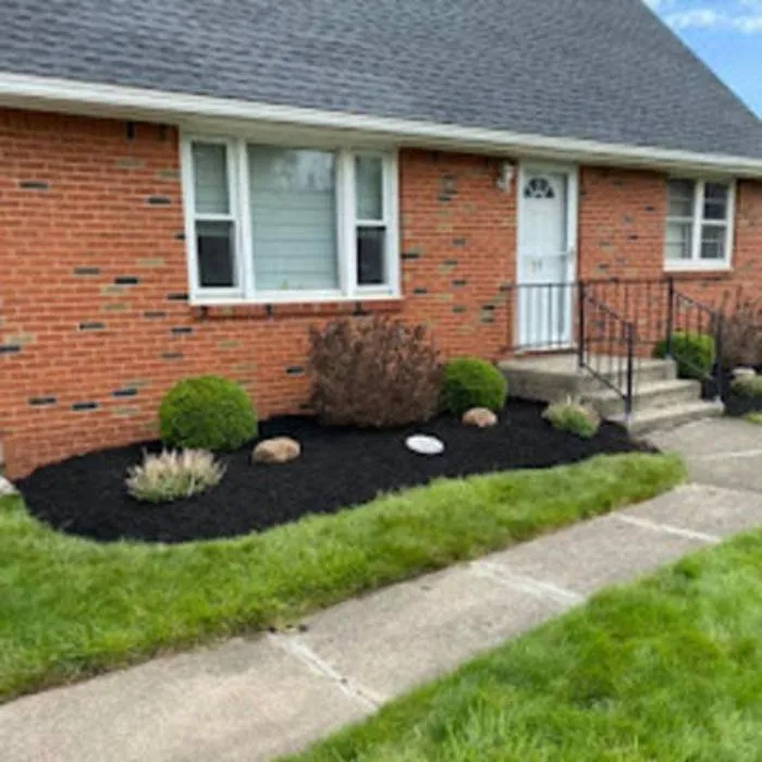 Reliable yard cleanup service experts serving East Aurora, NY - Wolf Property Services
