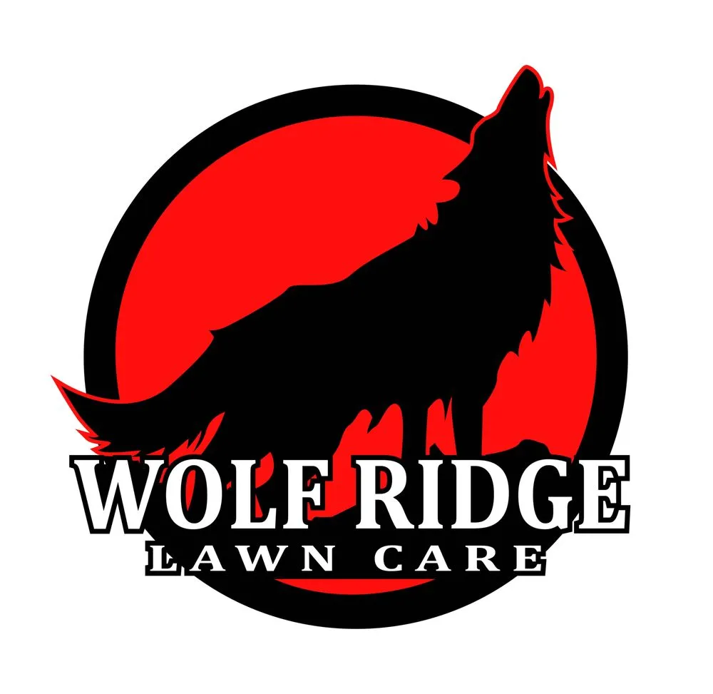 Trusted lawn care service for year-round maintenance across Imlay City, MI - Wolf Ridge