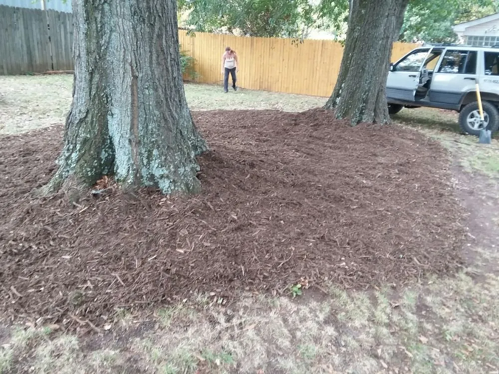 Reliable garden landscaping in Greer, SC - Wolf Spirit Lawn and Tree Care