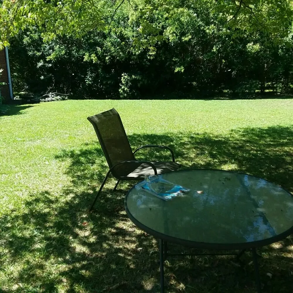 Affordable landscaping services in Greer, SC - Wolf Spirit Lawn and Tree Care