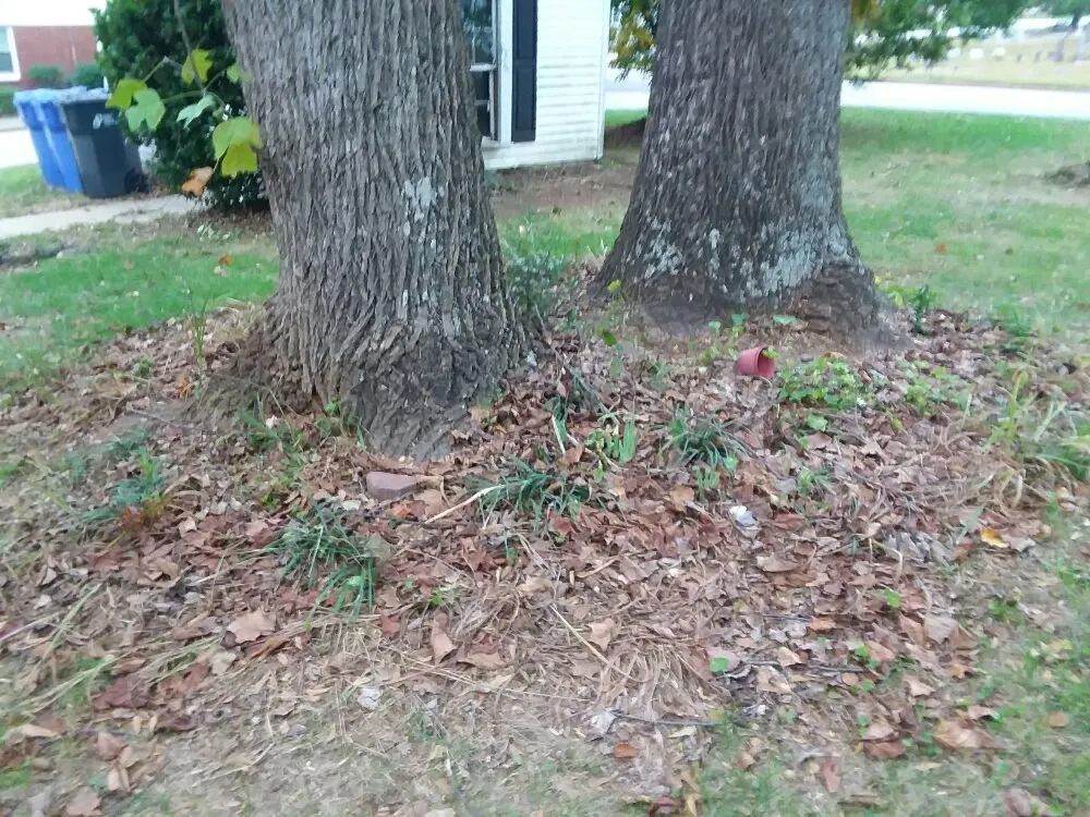 Expert residential landscaping for residential properties across Greer, SC - Wolf Spirit Lawn and Tree Care