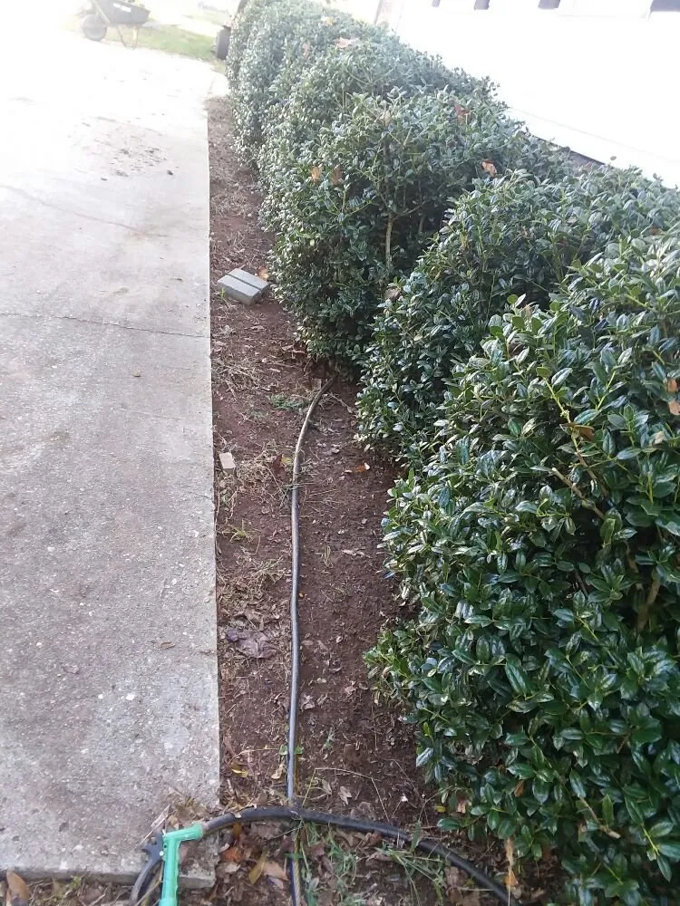 Top-rated landscape installation in Greer, SC by Wolf Spirit Lawn and Tree Care