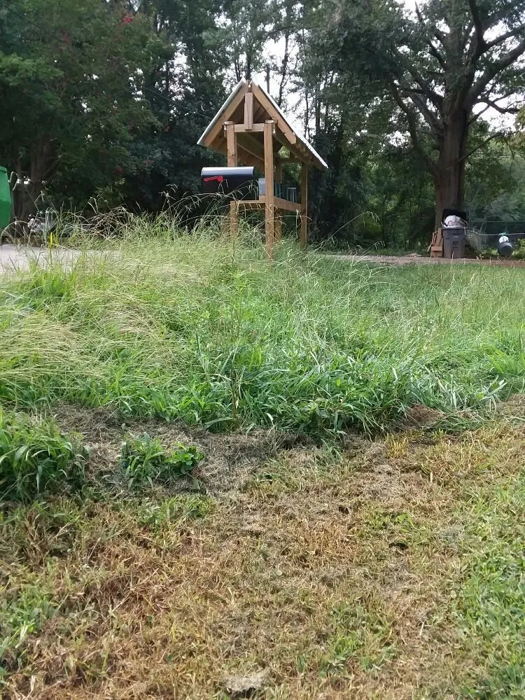 Expert landscape design near you in Greer, SC by Wolf Spirit Lawn and Tree Care