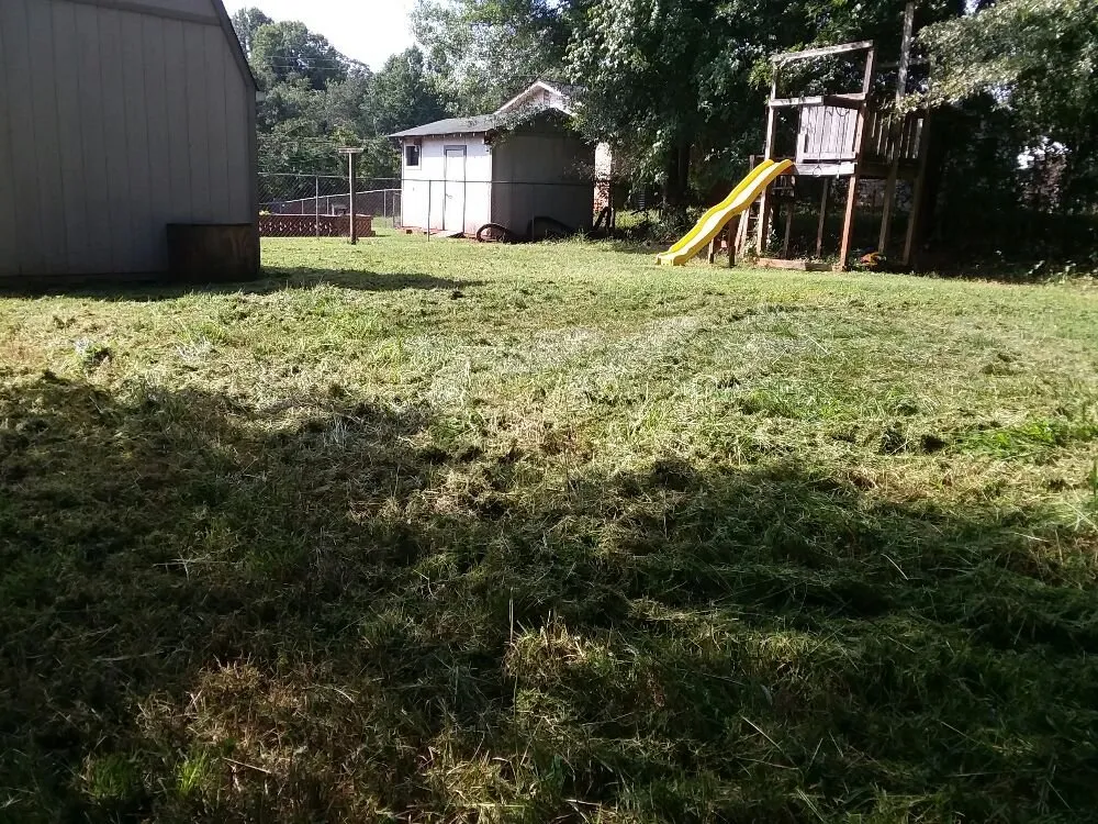 Expert lawn care service in Greer, SC - Wolf Spirit Lawn and Tree Care