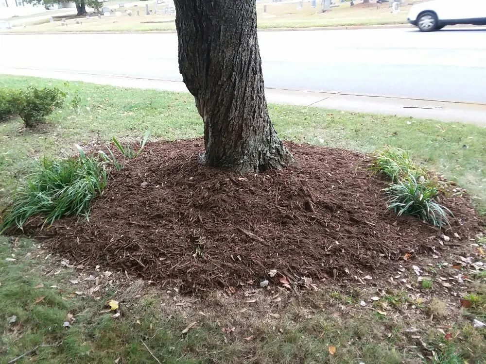 Affordable yard maintenance experts serving Greer, SC - Wolf Spirit Lawn and Tree Care